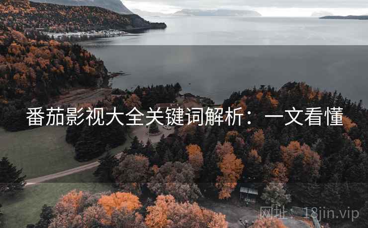 番茄影视大全关键词解析：一文看懂