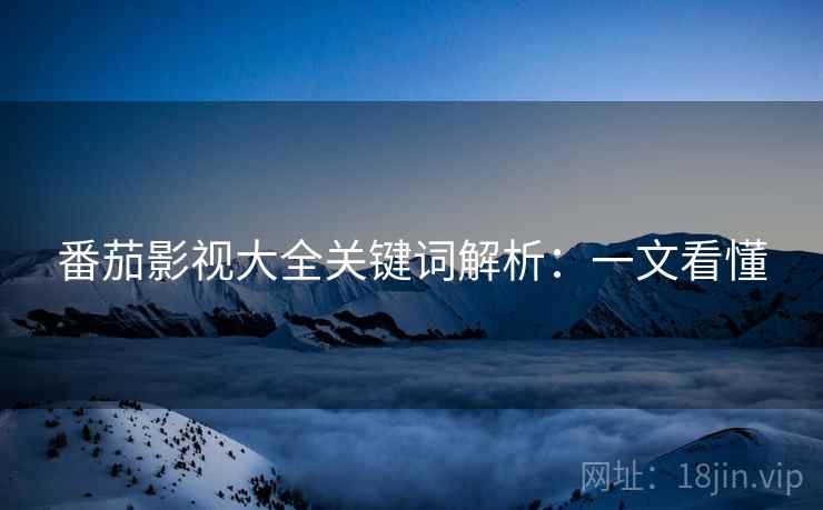 番茄影视大全关键词解析：一文看懂