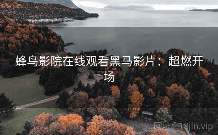 蜂鸟影院在线观看黑马影片：超燃开场